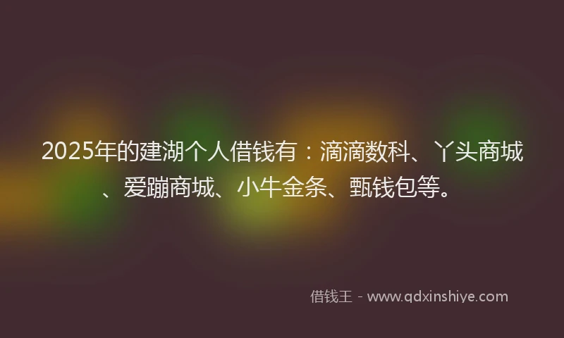 2025年的建湖个人借钱有：滴滴数科、丫头商城、爱蹦商城、小牛金条、甄钱包等。