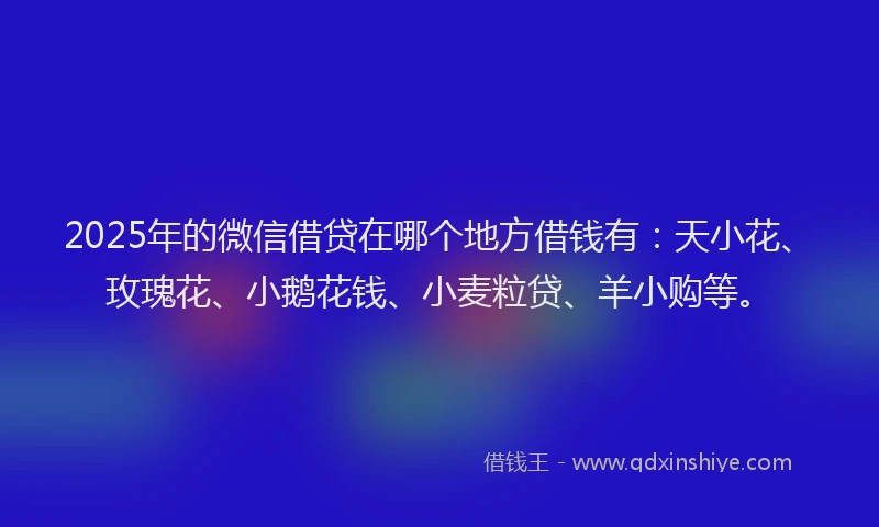 2025年的微信借贷在哪个地方借钱有：天小花、玫瑰花、小鹅花钱、小麦粒贷、羊小购等。