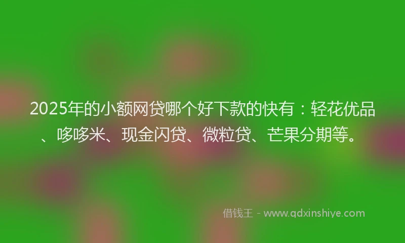 2025年的小额网贷哪个好下款的快有：轻花优品、哆哆米、现金闪贷、微粒贷、芒果分期等。