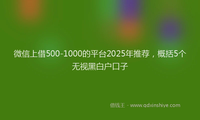 微信上借500-1000的平台2025年推荐，概括5个无视黑白户口子