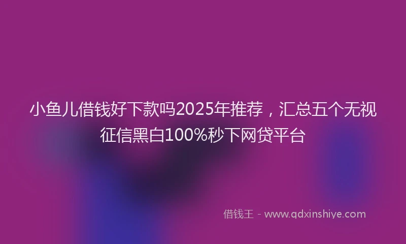 小鱼儿借钱好下款吗2025年推荐，汇总五个无视征信黑白100%秒下网贷平台