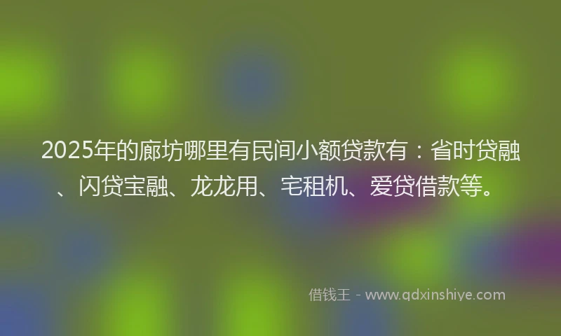 2025年的廊坊哪里有民间小额贷款有：省时贷融、闪贷宝融、龙龙用、宅租机、爱贷借款等。