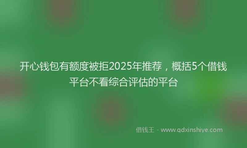 开心钱包有额度被拒2025年推荐，概括5个借钱平台不看综合评估的平台