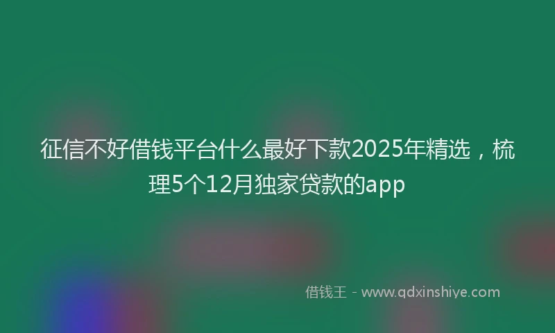 征信不好借钱平台什么最好下款2025年精选，梳理5个12月独家贷款的app