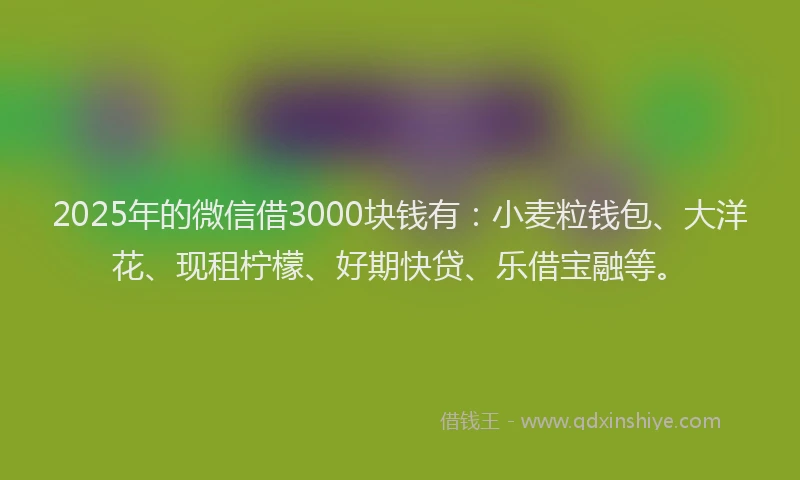 2025年的微信借3000块钱有：小麦粒钱包、大洋花、现租柠檬、好期快贷、乐借宝融等。