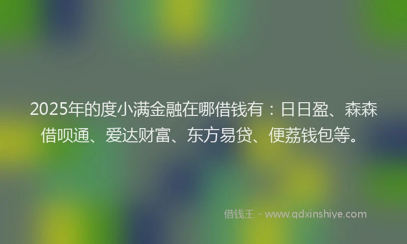 2025年的度小满金融在哪借钱有：日日盈、森森借呗通、爱达财富、东方易贷、便荔钱包等。