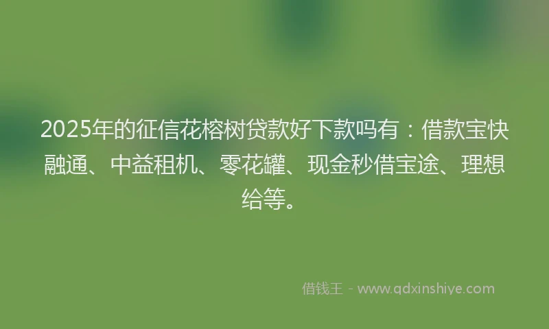 2025年的征信花榕树贷款好下款吗有：借款宝快融通、中益租机、零花罐、现金秒借宝途、理想给等。