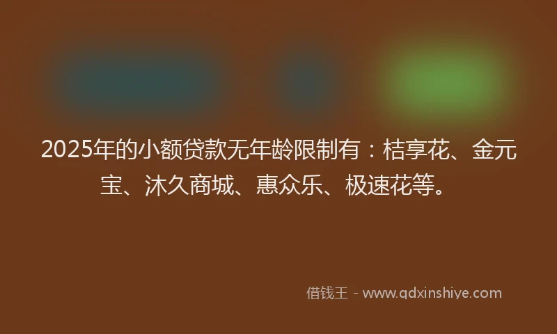 2025年的小额贷款无年龄限制有：桔享花、金元宝、沐久商城、惠众乐、极速花等。