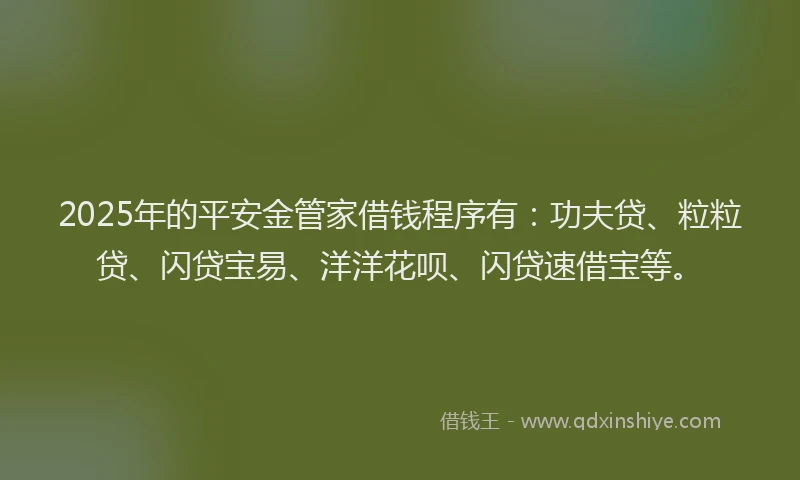 2025年的平安金管家借钱程序有：功夫贷、粒粒贷、闪贷宝易、洋洋花呗、闪贷速借宝等。