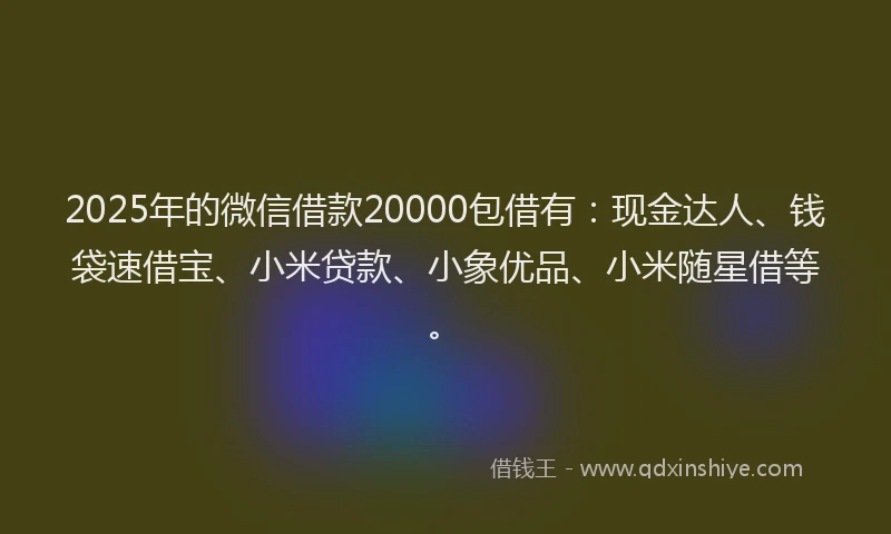2025年的微信借款20000包借有：现金达人、钱袋速借宝、小米贷款、小象优品、小米随星借等。