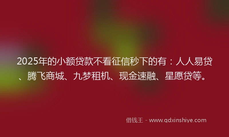 2025年的小额贷款不看征信秒下的有：人人易贷、腾飞商城、九梦租机、现金速融、星愿贷等。