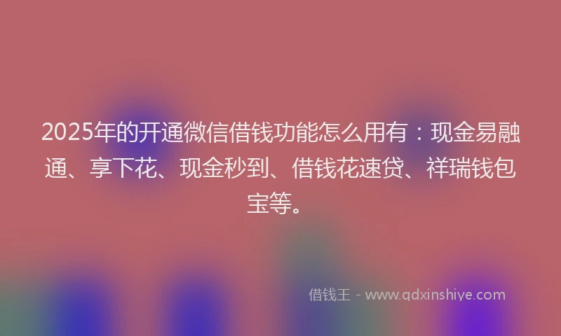 2025年的开通微信借钱功能怎么用有：现金易融通、享下花、现金秒到、借钱花速贷、祥瑞钱包宝等。