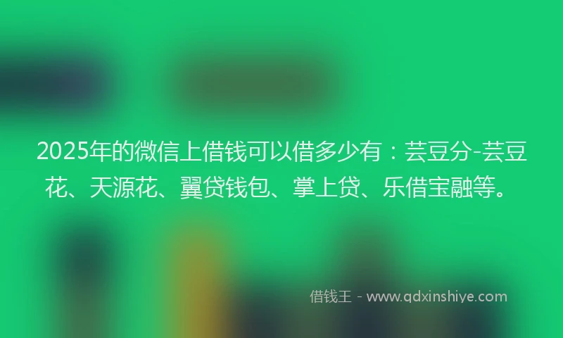 2025年的微信上借钱可以借多少有：芸豆分-芸豆花、天源花、翼贷钱包、掌上贷、乐借宝融等。