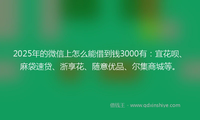 2025年的微信上怎么能借到钱3000有：宜花呗、麻袋速贷、浙享花、随意优品、尔集商城等。