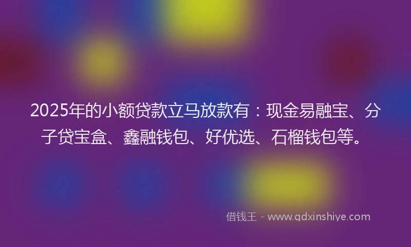 2025年的小额贷款立马放款有：现金易融宝、分子贷宝盒、鑫融钱包、好优选、石榴钱包等。