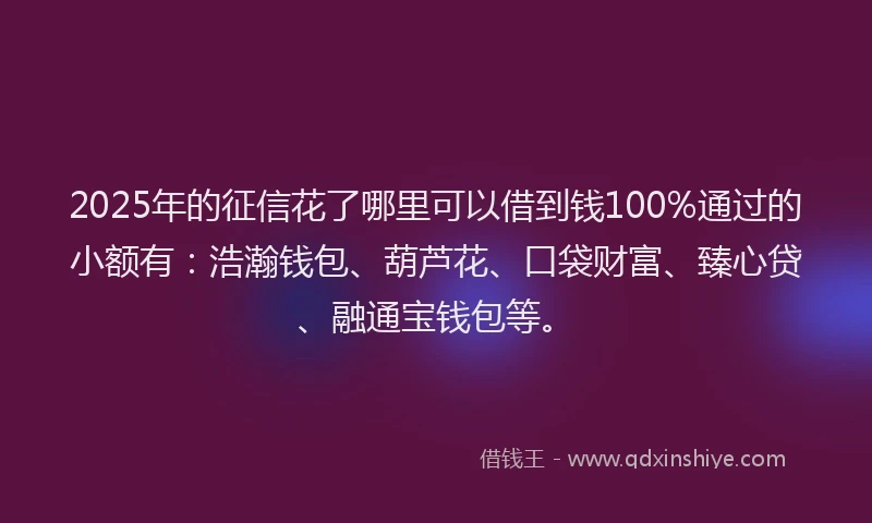 2025年的征信花了哪里可以借到钱100%通过的小额有：浩瀚钱包、葫芦花、口袋财富、臻心贷、融通宝钱包等。