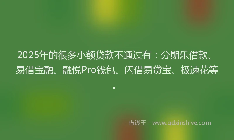 2025年的很多小额贷款不通过有：分期乐借款、易借宝融、融悦Pro钱包、闪借易贷宝、极速花等。