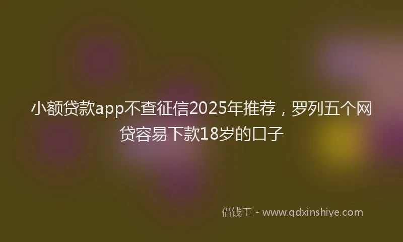 小额贷款app不查征信2025年推荐，罗列五个网贷容易下款18岁的口子