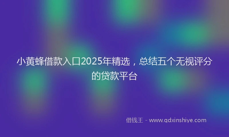 小黄蜂借款入口2025年精选，总结五个无视评分的贷款平台