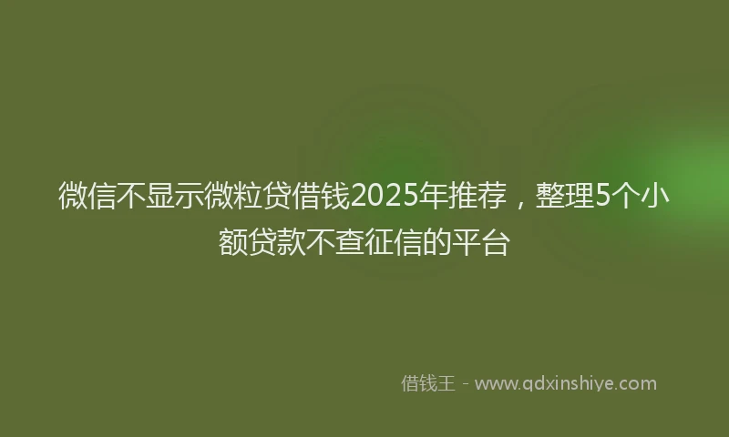 微信不显示微粒贷借钱2025年推荐，整理5个小额贷款不查征信的平台