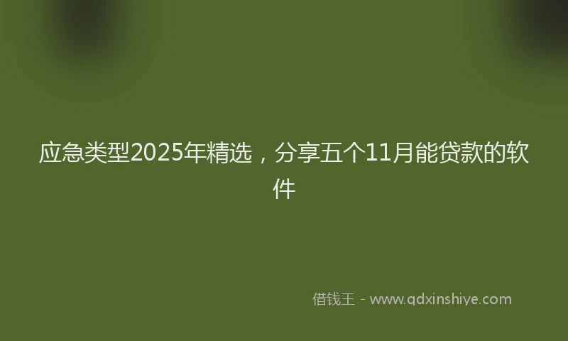应急类型2025年精选，分享五个11月能贷款的软件