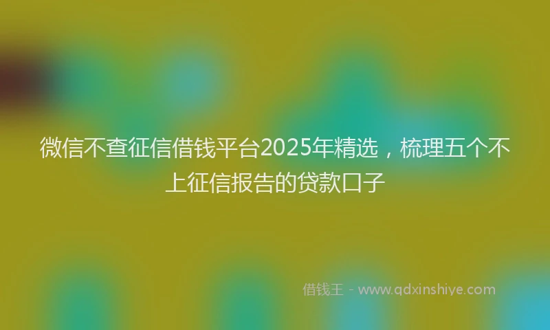 微信不查征信借钱平台2025年精选，梳理五个不上征信报告的贷款口子