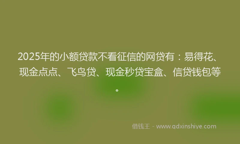 2025年的小额贷款不看征信的网贷有：易得花、现金点点、飞鸟贷、现金秒贷宝盒、信贷钱包等。