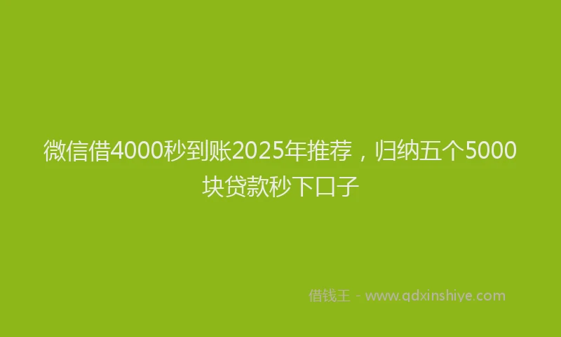 微信借4000秒到账2025年推荐，归纳五个5000块贷款秒下口子