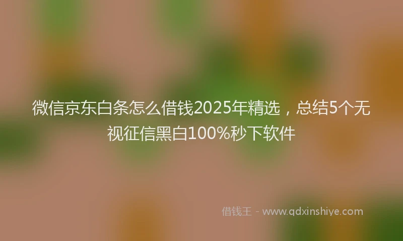 微信京东白条怎么借钱2025年精选，总结5个无视征信黑白100%秒下软件
