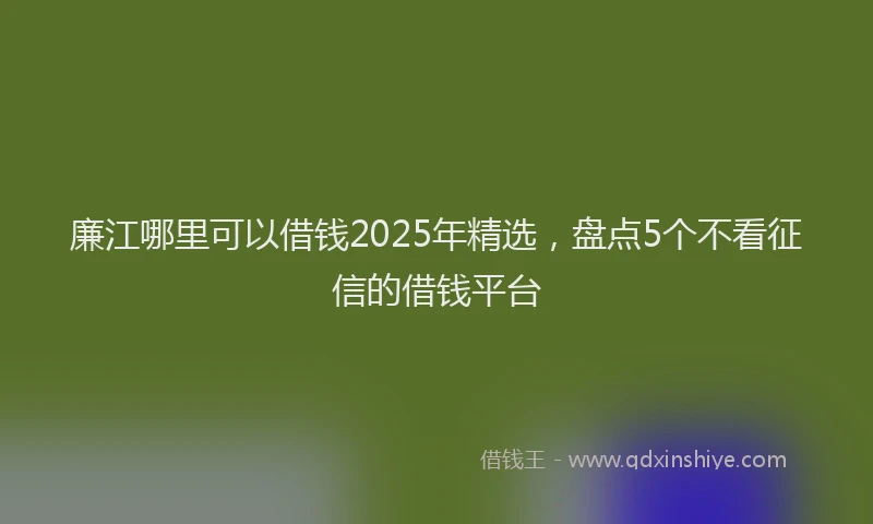 廉江哪里可以借钱2025年精选，盘点5个不看征信的借钱平台