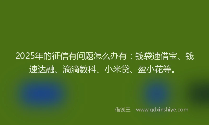 2025年的征信有问题怎么办有：钱袋速借宝、钱速达融、滴滴数科、小米贷、盈小花等。