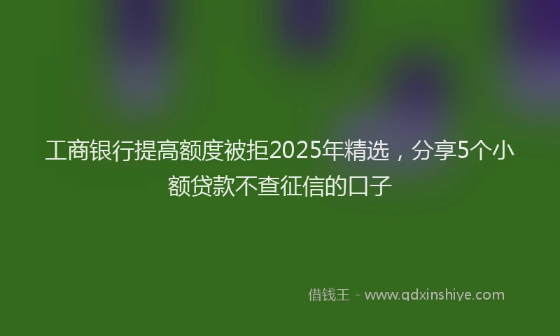 工商银行提高额度被拒2025年精选，分享5个小额贷款不查征信的口子