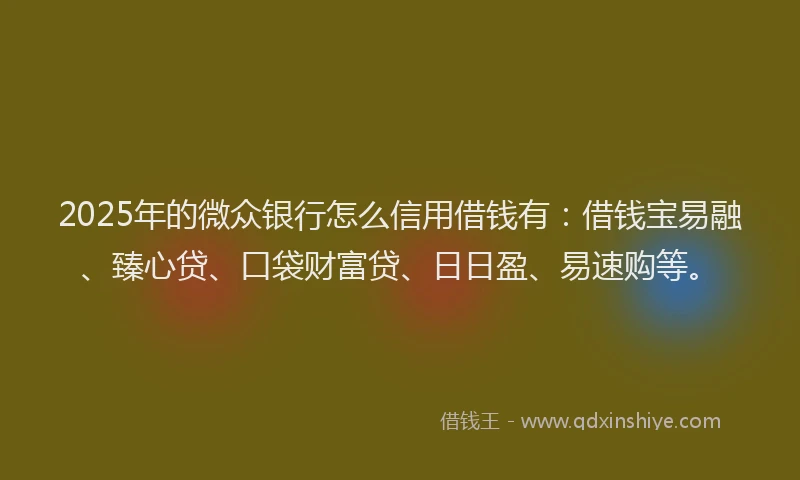 2025年的微众银行怎么信用借钱有：借钱宝易融、臻心贷、口袋财富贷、日日盈、易速购等。