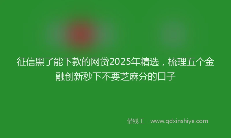 征信黑了能下款的网贷2025年精选，梳理五个金融创新秒下不要芝麻分的口子