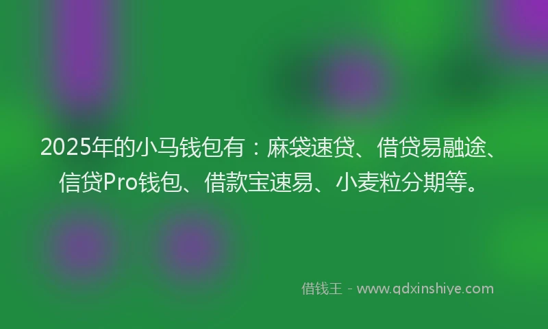 2025年的小马钱包有：麻袋速贷、借贷易融途、信贷Pro钱包、借款宝速易、小麦粒分期等。