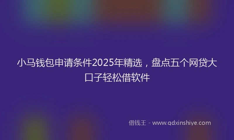 小马钱包申请条件2025年精选，盘点五个网贷大口子轻松借软件