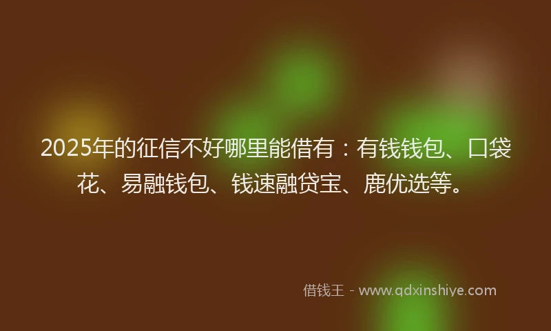 2025年的征信不好哪里能借有：有钱钱包、口袋花、易融钱包、钱速融贷宝、鹿优选等。
