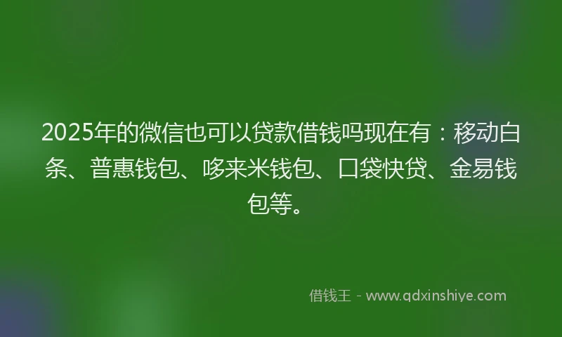 2025年的微信也可以贷款借钱吗现在有：移动白条、普惠钱包、哆来米钱包、口袋快贷、金易钱包等。