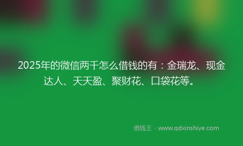 2025年的微信两千怎么借钱的有：金瑞龙、现金达人、天天盈、聚财花、口袋花等。