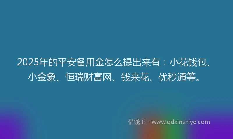 2025年的平安备用金怎么提出来有：小花钱包、小金象、恒瑞财富网、钱来花、优秒通等。