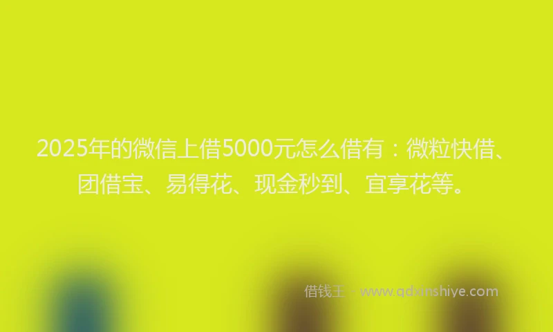 2025年的微信上借5000元怎么借有：微粒快借、团借宝、易得花、现金秒到、宜享花等。