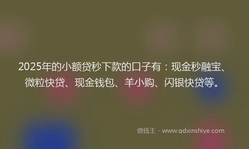 2025年的小额贷秒下款的口子有：现金秒融宝、微粒快贷、现金钱包、羊小购、闪银快贷等。