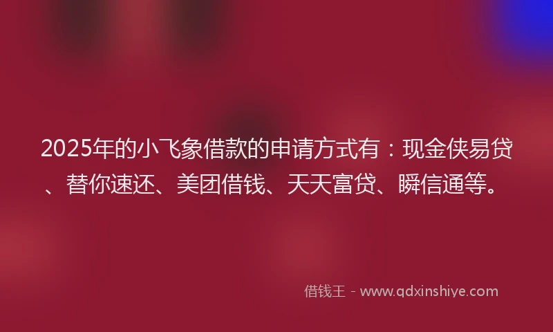 2025年的小飞象借款的申请方式有：现金侠易贷、替你速还、美团借钱、天天富贷、瞬信通等。