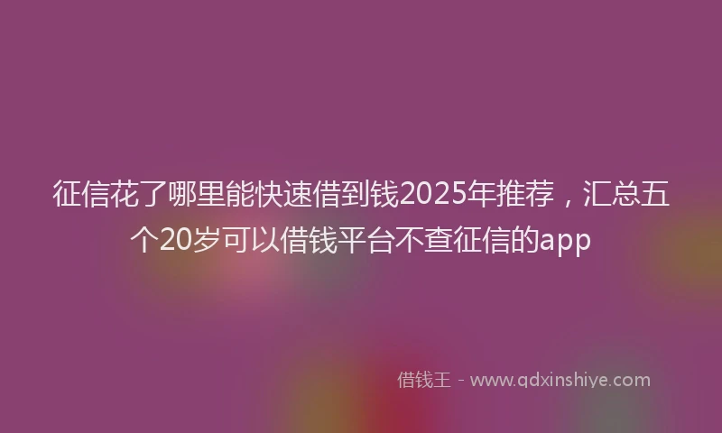 征信花了哪里能快速借到钱2025年推荐，汇总五个20岁可以借钱平台不查征信的app