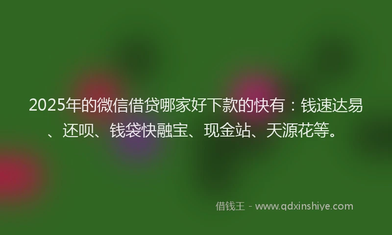 2025年的微信借贷哪家好下款的快有：钱速达易、还呗、钱袋快融宝、现金站、天源花等。