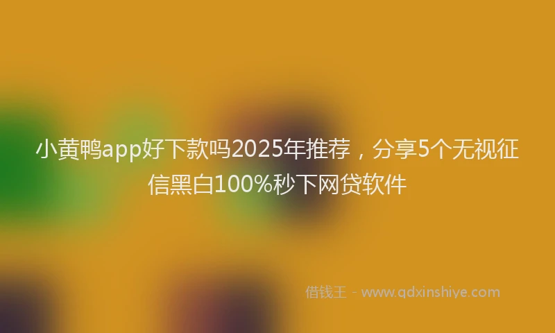 小黄鸭app好下款吗2025年推荐，分享5个无视征信黑白100%秒下网贷软件