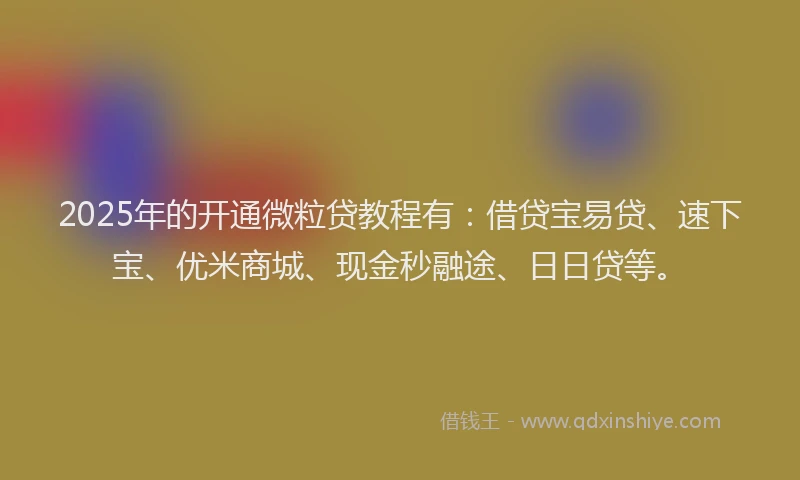 2025年的开通微粒贷教程有：借贷宝易贷、速下宝、优米商城、现金秒融途、日日贷等。