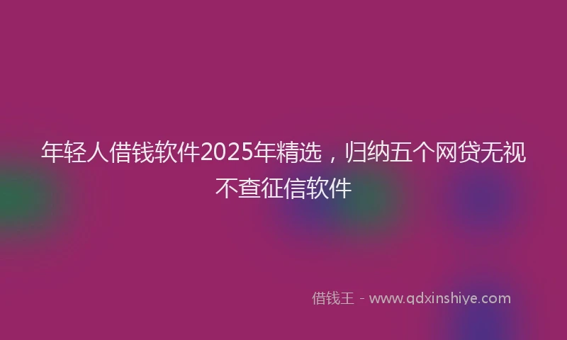 年轻人借钱软件2025年精选，归纳五个网贷无视不查征信软件