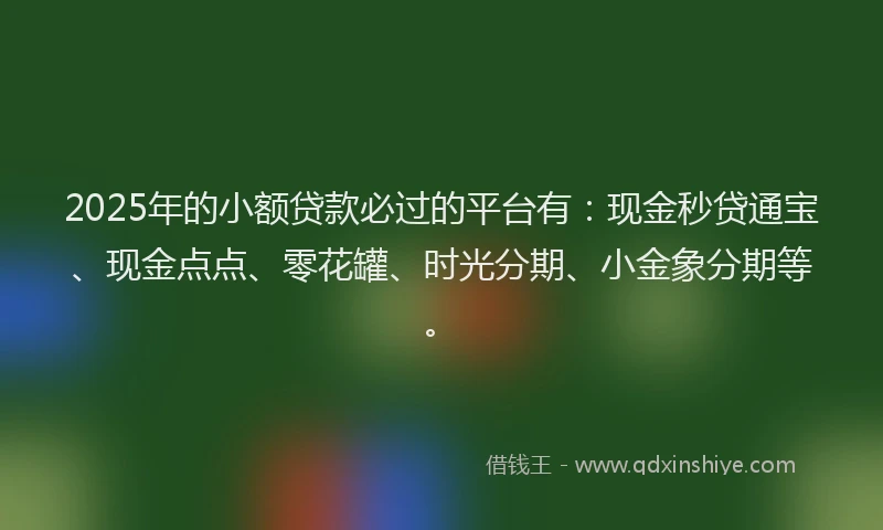 2025年的小额贷款必过的平台有：现金秒贷通宝、现金点点、零花罐、时光分期、小金象分期等。