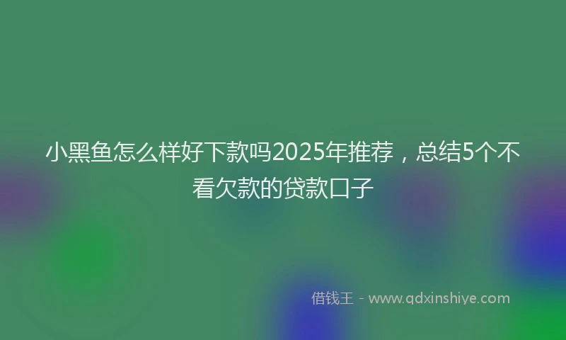 小黑鱼怎么样好下款吗2025年推荐，总结5个不看欠款的贷款口子